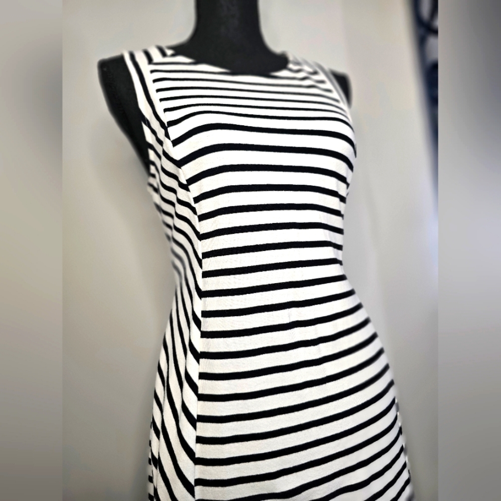 Navy and White Stripe Dress